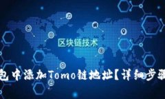 如何在TP钱包中添加Tomo链地址？详细步骤和注意